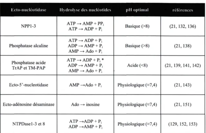 Tableau 1.4 : Les ecto­nucléotidases 