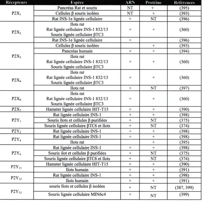 Tableau 1.5 : Les récepteurs P2 présents sur les cellules p pancréatique 