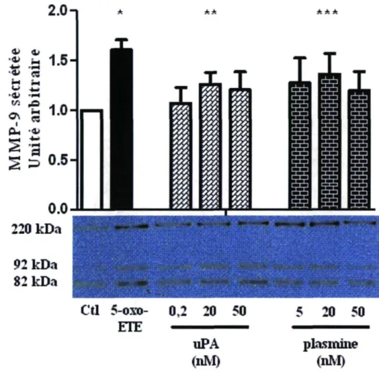 Figure 8. Sécrétion de MMP-9 induite par l'uPA et la plasmine. Les éosinophiles furent  incubés avec l'uPA ou la plasmine pour 18 heures