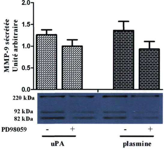 Figure 9. L'influence des ERK-1/2 sur la sécrétion de la MMP-9 induite par l'uPA et  la plasmine