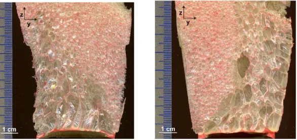 Figure 2.1   Cross-section of two foams sonicated at different positions in an ultrasonic  standing wave [35]