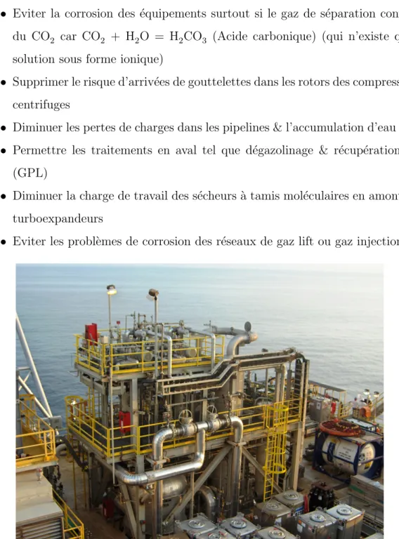 Figure 2.3 – Module de r´ ecup´ eration MEG, plateforme en mer, USA