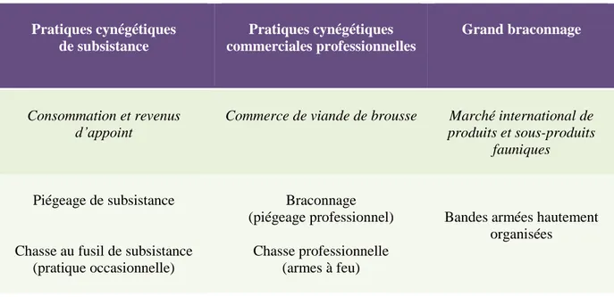 Figure 8. Proposition de catégorisation des pratiques cynégétiques 