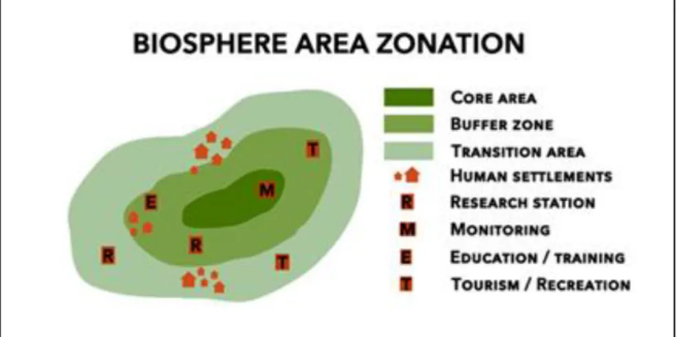 Figure 1: Plan de zonage des réserves de biosphère (source : https://www.Unesco.nl) 