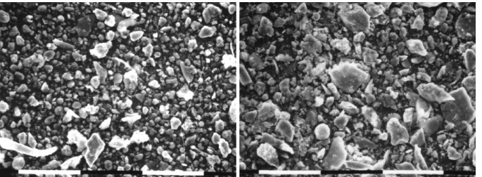 Figure 1: SEM micrographs of the dust fall in Genoa (left) and Turin (right), scale = 100  µµµµ m