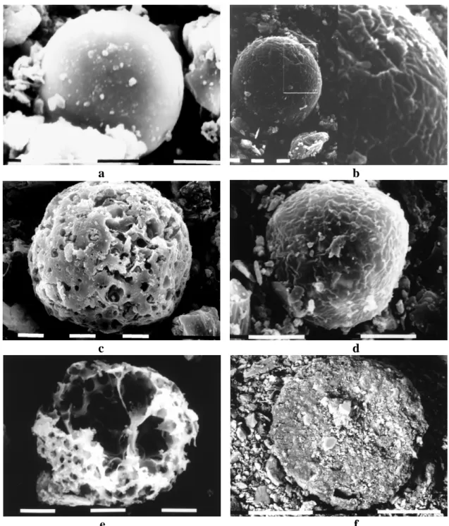 Figure 4: SEM micrographs showing some unknown or anthropogenic compounds of the dust fall  in Turin