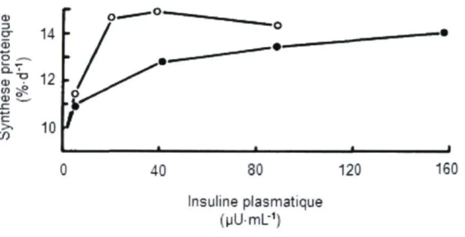 Figure 1.4. Relation entre le taux fractionnel de synthèse protéique  musculaire et la concentration en insuline plasmatique chez le rat  recevant en perfusion diverses quantités d'insuline avec (o) ou sans (•)  perfusion d'acides aminés