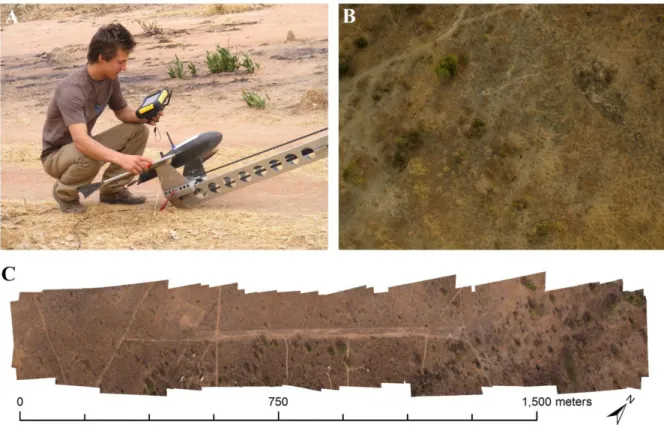 Fig. 3 Creation of the orthophotomosaic for the determination of the surface area of sampling strip