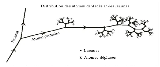 Figure 13 : Schéma du processus  en cascade de création des défauts par les neutrons dans  un matériau (distribution des atomes déplacés et des lacunes) (BONAL et al.,  2005)