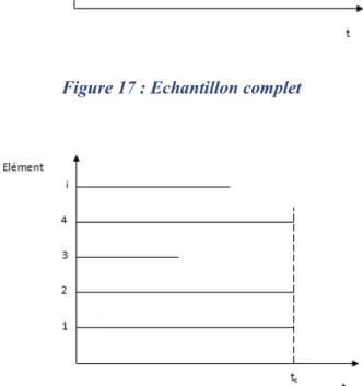 Figure 17 : Echantillon complet 