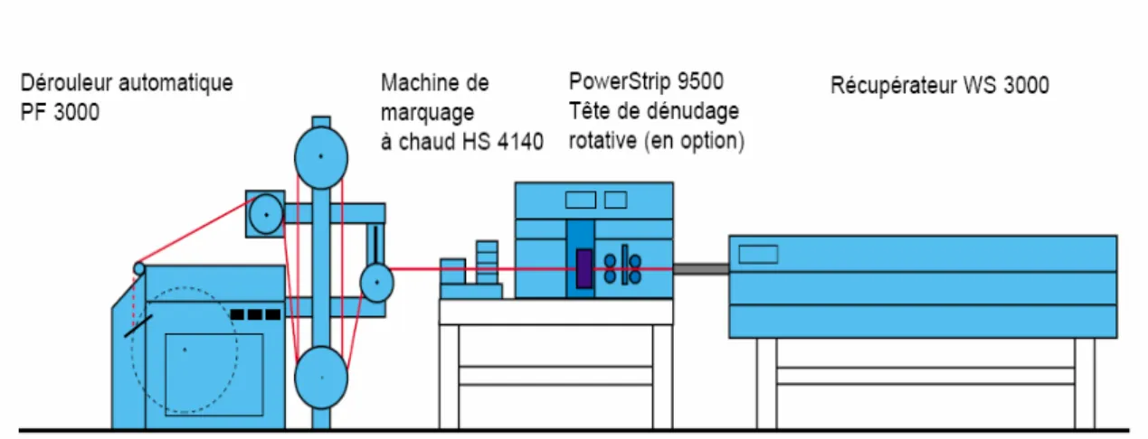 Figure 13 : Fils coupé et dégainé 