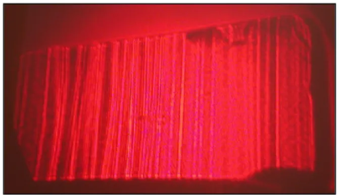 Figure  4.  Imagerie  de  bande  de  croissance  par  ombroscopie  en  lumière  visible  optique  dans un monocristal d’oxyde de Zircone