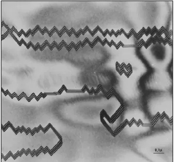 Figure  5.  Imagerie  en  microscope  électronique  à  transmission  (TEM)  d’une  faute  d’empilement observée en champ clair dans un échantillon d’InP
