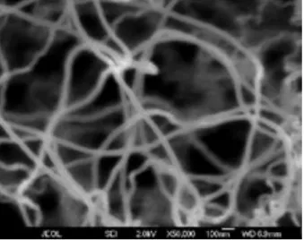 Figure 8: CNTs network for polymer-based nanocomposites (Ref : http://www.nano-lab.com/)
