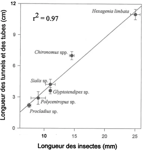 Tableau  1.  Longueur,  poids humide (moyenne  + erreur-type),  nombre d'individus  et statut  trophique  (Menitt  et Cummins  1996)  des 6 genres  à l'étude.