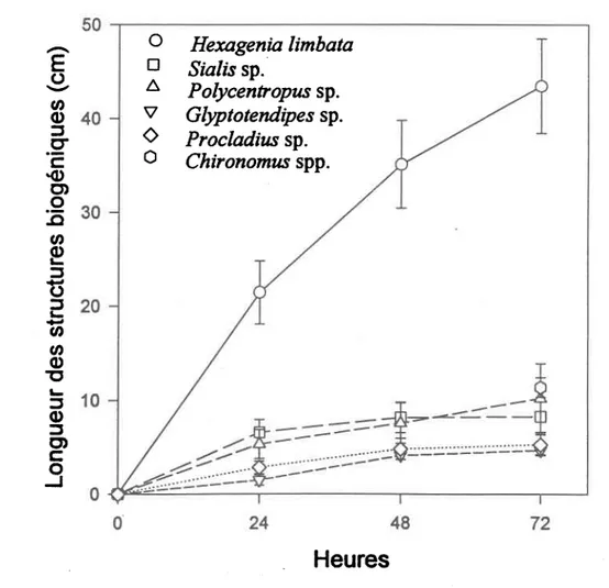 Figure 9.  Longueurs cumulatives  des structures biogéniques  (moyenne t  eneur-type) construits  par les larves des 6 taxa étudiés pendant 3 jours.