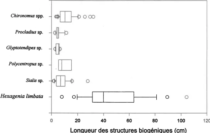 Figure 10.  Distribution des  longueurs de  structures biogéniques pour  6  genres d'insectes autour d'une médiane