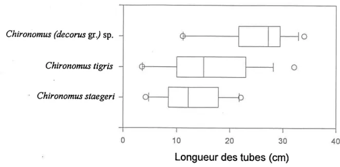 Figure  13. Distribution  des longueurs  de tubes pour 3  espèces de Chironomus  spp.