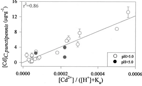 Figure 2.  Relation entre les concentrations  de Cd  chez C. punaipernis  échantillonnés  dans 23 