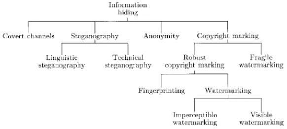 Figure 9 – Classification des sous-domaines du data hiding (source : [4]).