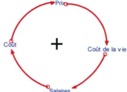 Figure 7. Exemple d'une boucle positive. 