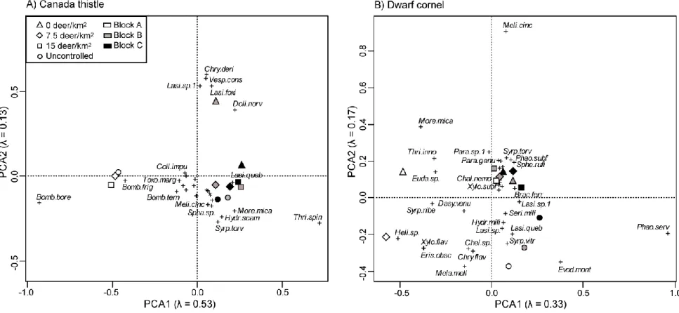 Figure  3:  Distance  biplots  (scaling  1)  of  principal  component  analysis  (PCA)  on  the  abundance  of  pollinators  associated  with  A)  Canada thistle and B) dwarf cornel in twelve experimental units (except that Canada thistle was not sampled i