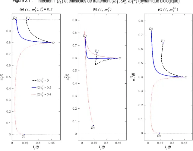 Figure 2.1 :  Infection 1 ( ) et efficacités de traitement ( , , ) (dynamique biologique) 