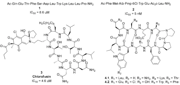 Figure 6. Structure moléculaire d’inhibiteurs de l’IPP p53-MDM2. 