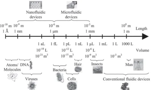 Figure 1.2. Comparaison des dispositifs microfluidiques avec d’autres composantes . 11
