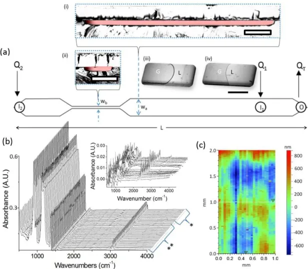 Figure  3.1.  (a)  Schematic  of  the  microchannel.  Flow  was  left  to  right  with  liquid  being  introduced  into  the  device  through  inlets  I 1   and  I 2   with  volumetric  flow  rates  Q 1   and  Q 2 ,  respectively