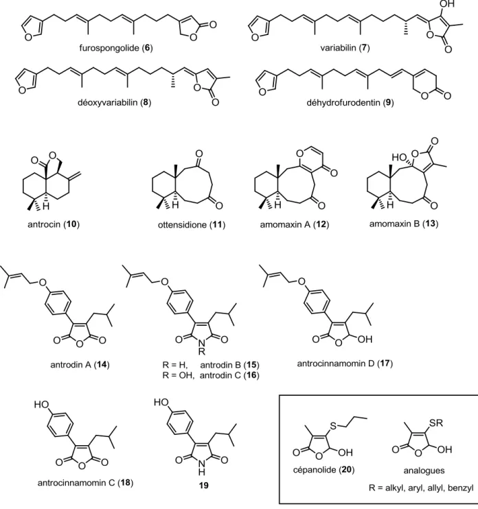 Figure 8: Molécules ciblées dans le cadre de nos travaux de recherche 