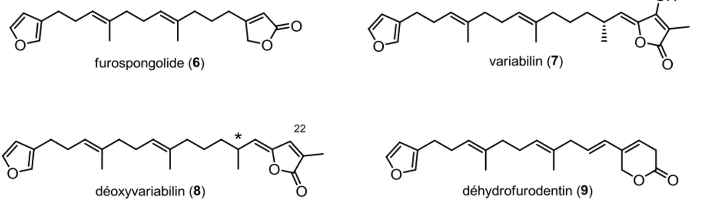 Figure 9 : Les furanoterpénoïdes ciblés 