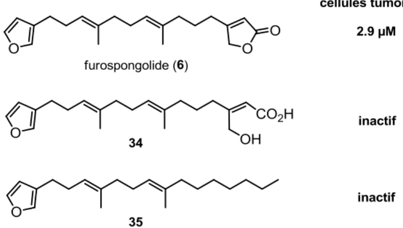 Figure 10 : Étude de relation structure-activité préliminaire du furospongolide 