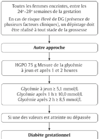 Figure  1.  Approche  de  dépistage  alternative  de  l’ACD  pour  le  DbG  effectuée  en  une  seule étape dans les Lignes directrices de 2013 (1)  