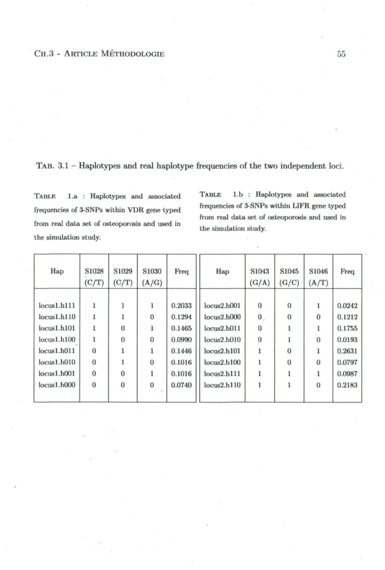 TABLE l.a : Haplotypes and associated  frequencies of 3-SNPs within VDR gene typed  from real data set of osteoporosis and used in  the simulation study