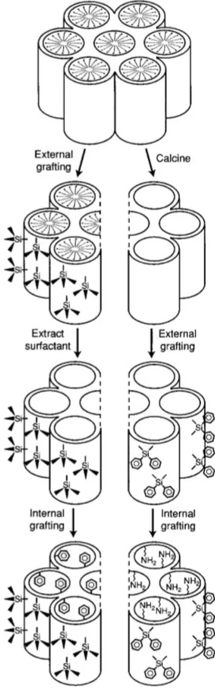 Figure 1.11. Stratégies de fonctionnalisation sélective de la surface interne et externe de la surface des MSNs  par post-greffage