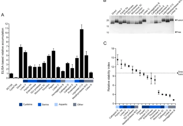 Figure 3.4 |  Expression and stability of the   Q47P CystaTag–Q47P hybrids in  N. benthamiana leaves