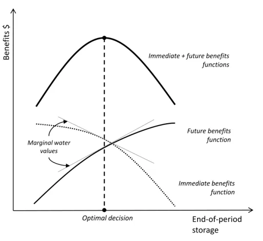 Figure 1.4: SDP principle when maximizing the sum of immediate and future benefits functions