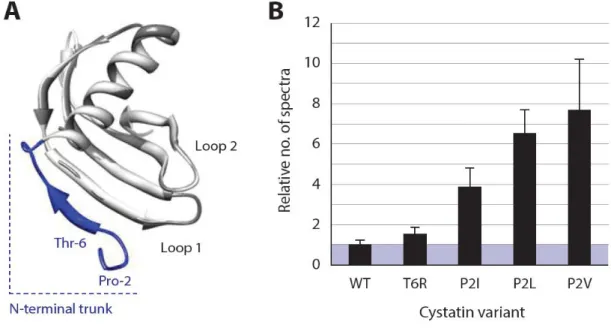 Figure 6.1. Spectral counts for intestain unique peptides captured with biotinylated versions of wild-type  SlCYS8  and  single  functional  variants  P2I,  P2L,  P2V  and  T6R  in  midgut  extracts  of  potato-fed  L