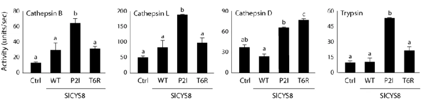Figure  4.3.  Cathepsin  B-,  cathepsin  L-,  cathepsin  D-  and  trypsin-like  protease  activities  in  midgut  extracts  of L