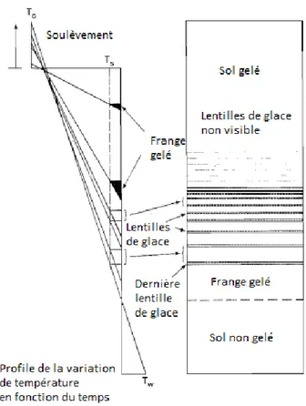 Figure 2.10 - Schéma de la formation des lentilles de glace avec la progression du front de gel  [modifiée de Konrad &amp; Morgenstern (1980) ] 