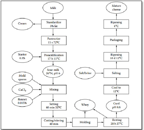 Figure 1-1: General diagram of mold surface-ripened cheese process (e. g Camembert-type)  Reproduced from Walstra et al