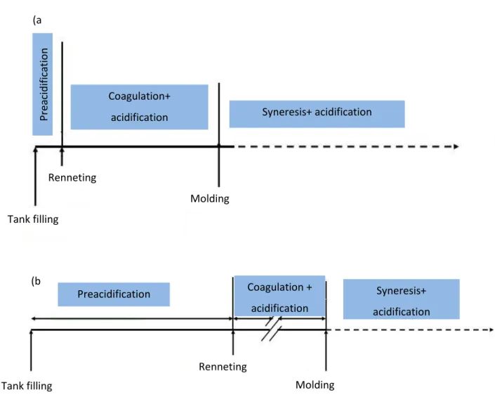 Figure 1-3: Description of (a) Stabilized curd versus (b) Traditional curd manufacture 