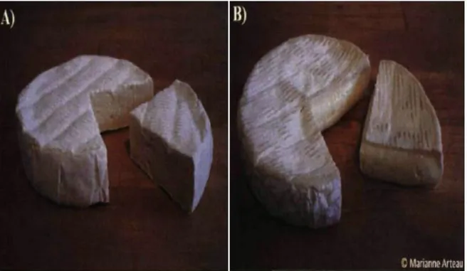Figure 1-4: Stabilized (A) and traditional (B) Camembert-type cheese 