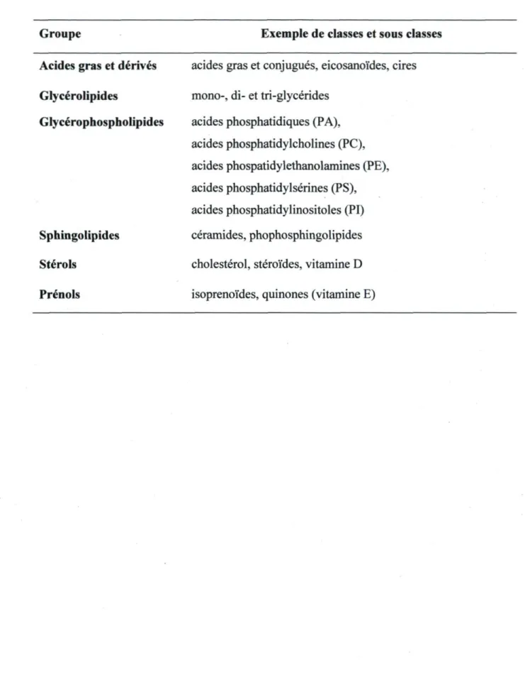 Tableau 2.5: Les différentes catégories de lipides (Adapté de Fahy et  a l , 2005) 
