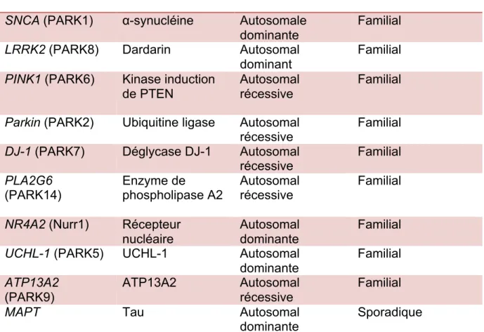 Tableau  1.1  Présentation  de  différentes  mutations  de  gènes  impliqués  dans  le  développement de la MP