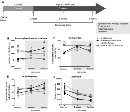 Fig.  2.1.  Absence  of  dietary  n-3  PUFA  effects  on  behavioral  outcomes  associated  to  a  6-OHDA  lesion