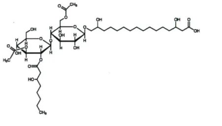 Figure 2. Structure chimique de la flocculosine  2.3. Production des glycolipides par fermentation 