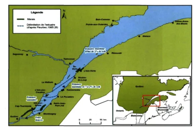 Figure 1.1 Cinq marais intertidaux de l'estuaire du Saint-Laurent à l'étude 