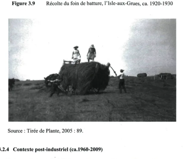 Figure 3.9 Récolte du foin de batture, l'Isle-aux-Grues, ca. 1920-1930 